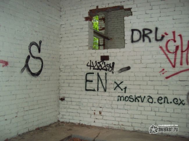 Заброшенный объект посреди леса