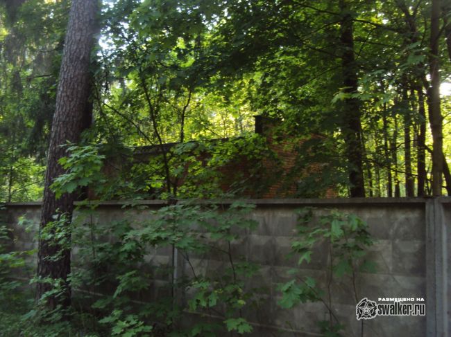 Заброшенный объект посреди леса