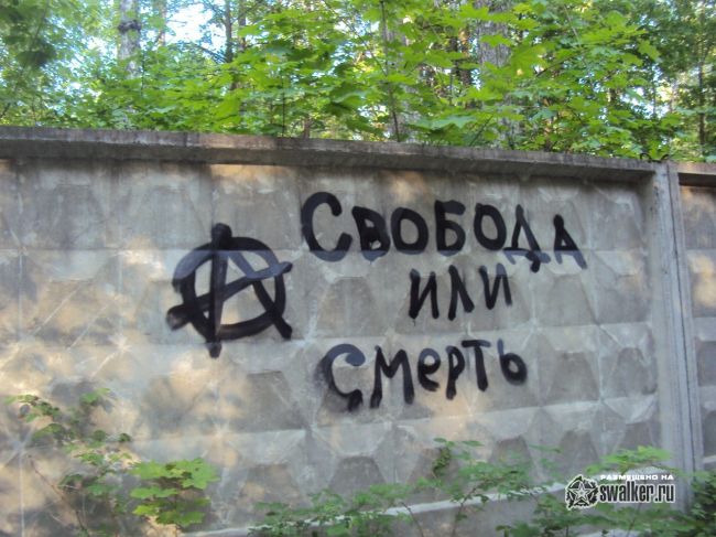 Заброшенный объект посреди леса