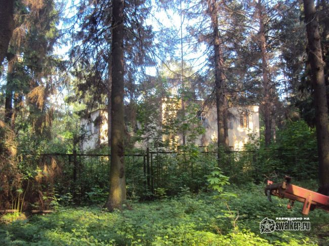 Заброшенный объект посреди леса