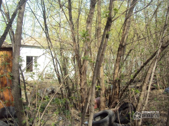 Заброшенный завод