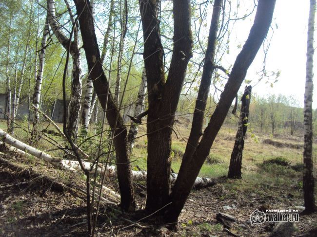 Заброшенная станция Белокаменная