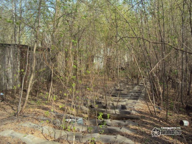 Заброшенная станция Белокаменная