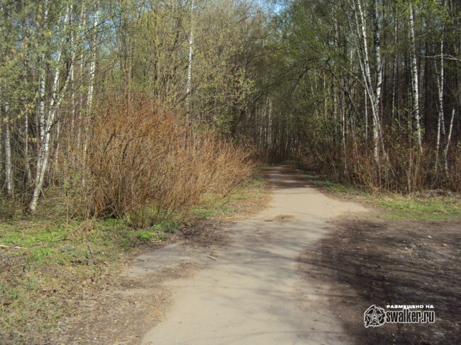 Заброшенная станция Белокаменная