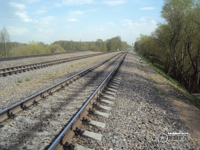 Заброшенная станция Белокаменная