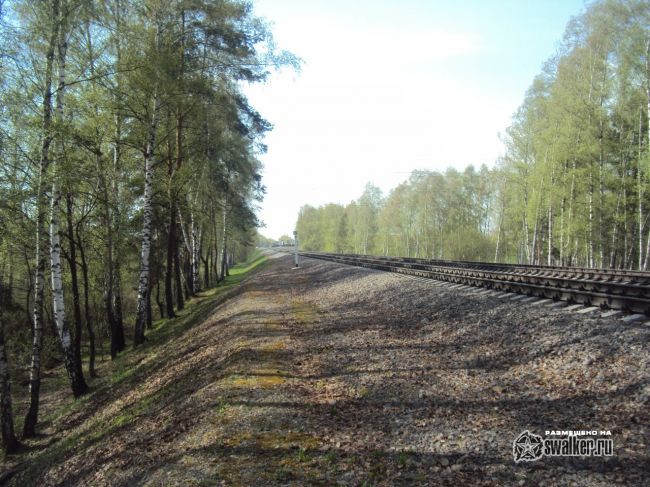 Заброшенная станция Белокаменная