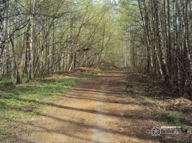 Заброшенная станция Белокаменная