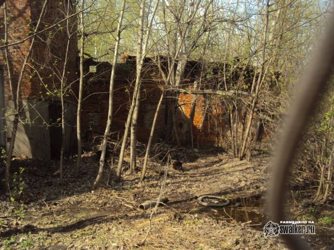 Заброшенная станция Белокаменная