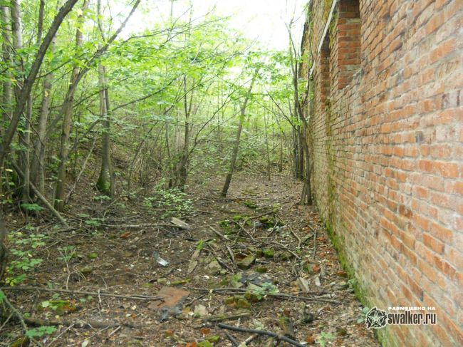 Заброшенные очистные сооружения