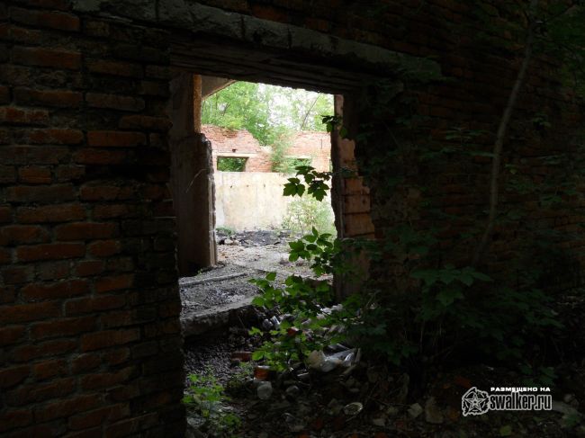 Заброшенные очистные сооружения