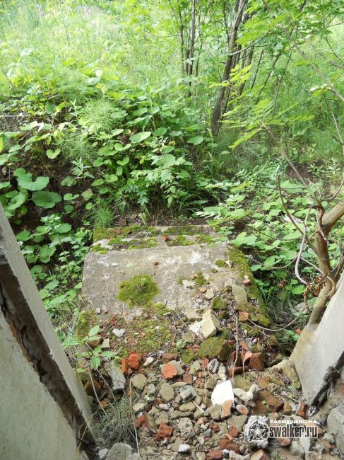 Заброшенные очистные сооружения