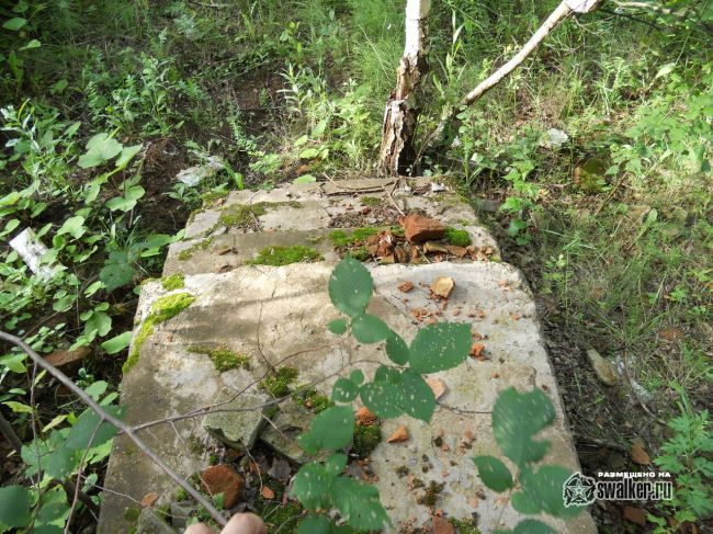 Заброшенные очистные сооружения