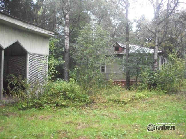 Заброшенный лагерь ЗВЕЗДНЫЙ, Сергиев Посад