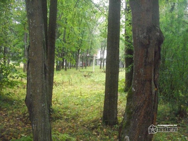 Заброшенный лагерь ЗВЕЗДНЫЙ, Сергиев Посад