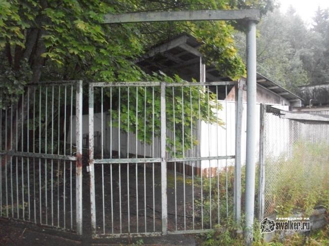 Заброшенный лагерь ЗВЕЗДНЫЙ, Сергиев Посад