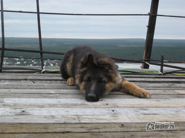 Шахта Северная Шахта Северная