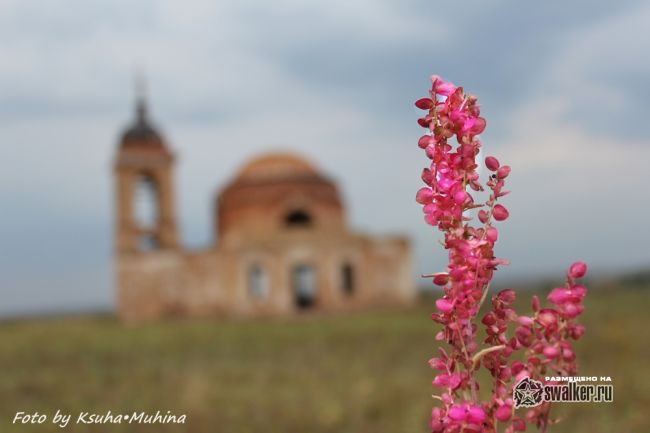Спасо Преображенская церковь, Саратовская область