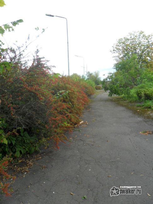 Заброшенный стадион ДУАГАВА Заброшенный стадион ДУАГАВА