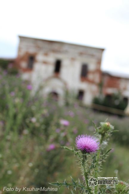 Храм Архистратига Михаила в селе Лох, Саратовская область