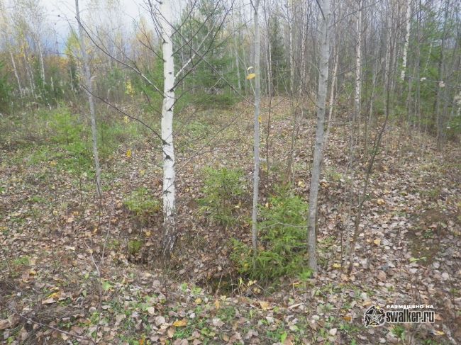 Заброшенная база обслуживания БЖРК 52 ракетной дивизии. Часть 1