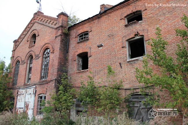 Хвалынская мельница