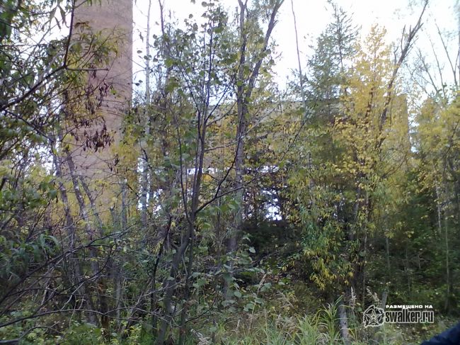 Заброшенный асфальтовый завод