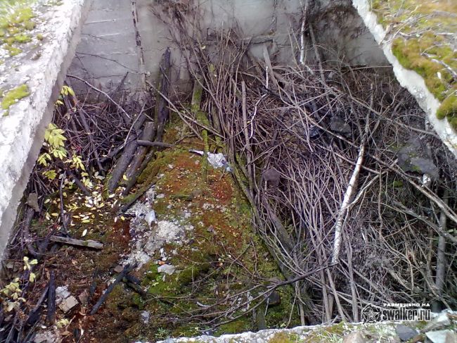 Заброшенный асфальтовый завод