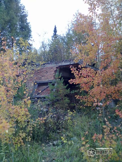 Заброшенный асфальтовый завод