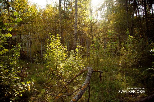 Добро пожаловать или посторонним вход воспрещён
