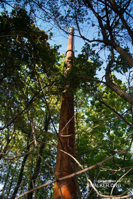 Добро пожаловать или посторонним вход воспрещён