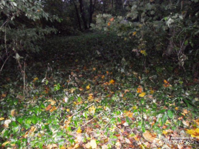 Заброшенная усадьба в Брамберге, Латвия