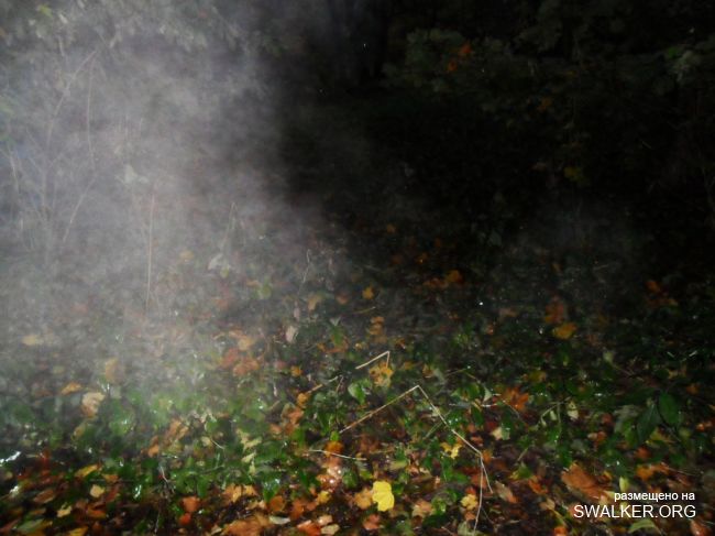 Заброшенная усадьба в Брамберге, Латвия