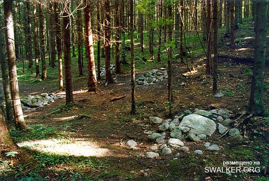 Магический лес Покайне, Латвия