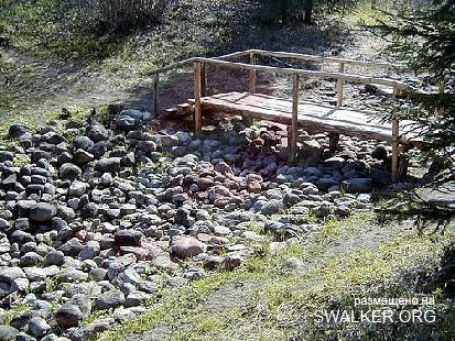 Магический лес Покайне, Латвия