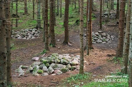 Магический лес Покайне, Латвия
