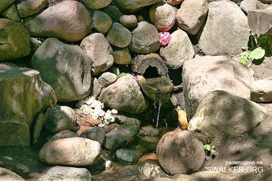 Магический лес Покайне, Латвия