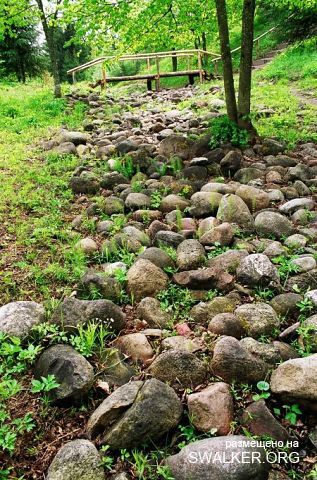 Магический лес Покайне, Латвия