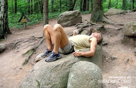 Магический лес Покайне, Латвия