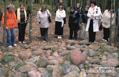 Магический лес Покайне, Латвия