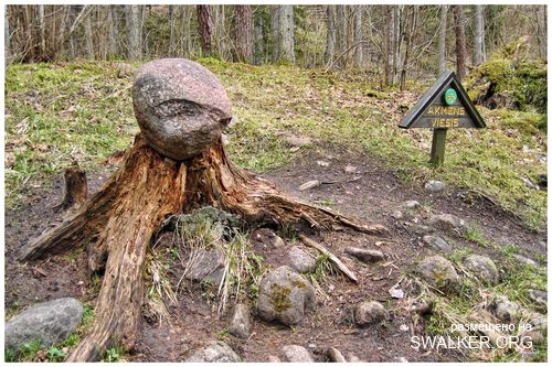 Магический лес Покайне, Латвия