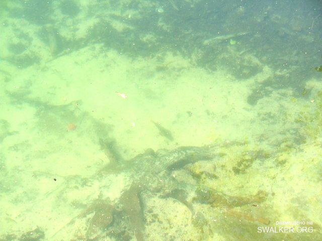 Чёртово озеро в Латгалии