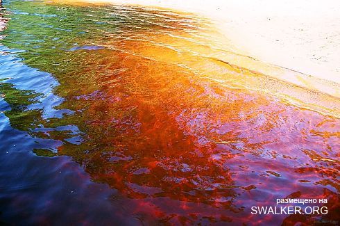 Чёртово озеро в Латгалии