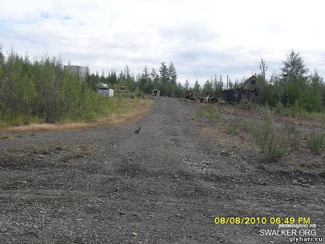 Мертвый поселок Глухариный, Магаданская область Мертвый поселок Глухариный, Магаданская область