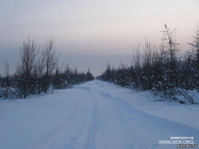 Мертвый поселок Глухариный, Магаданская область Мертвый поселок Глухариный, Магаданская область