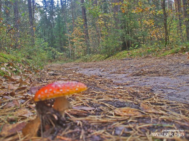 У чертей в гостях У чертей в гостях