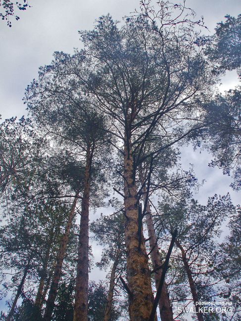 У чертей в гостях У чертей в гостях
