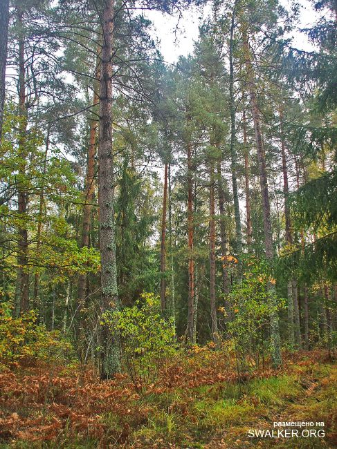 У чертей в гостях У чертей в гостях
