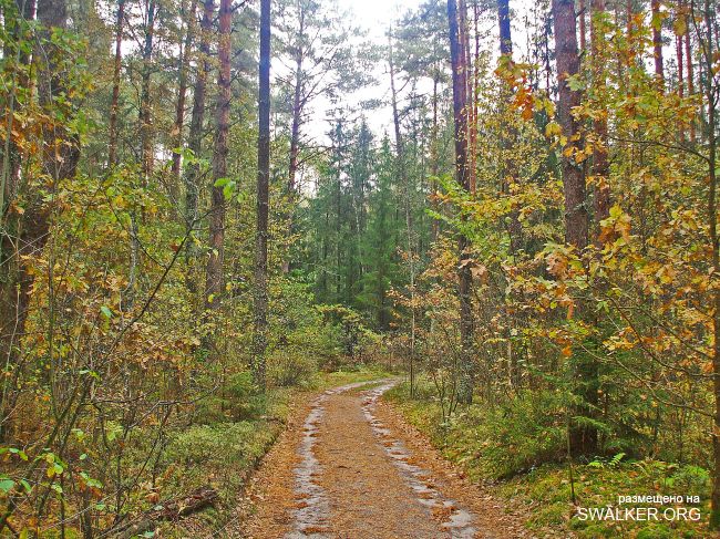 У чертей в гостях У чертей в гостях