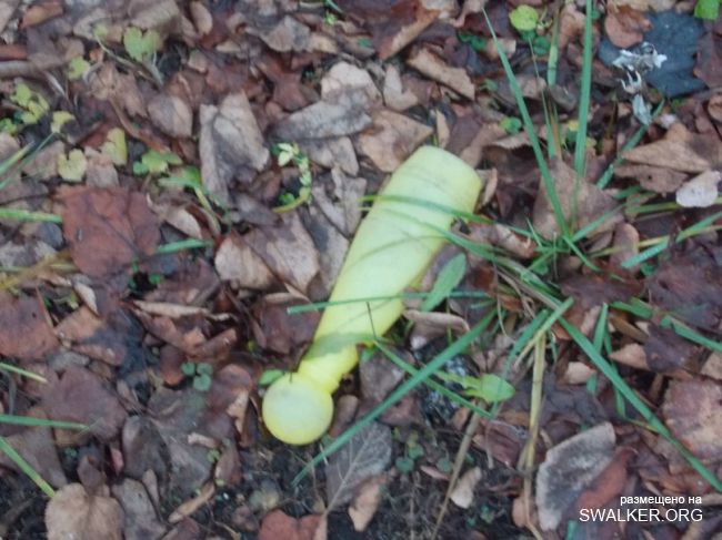 Заброшенный пионерлагерь ЭКРАН