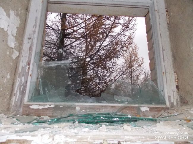 Заброшенный пионерлагерь Березка, Московская область Заброшенный пионерлагерь Березка, Московская область